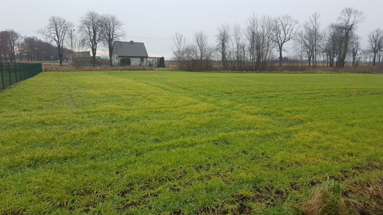 Działka budowlana Żydowo. Zdjęcie 4