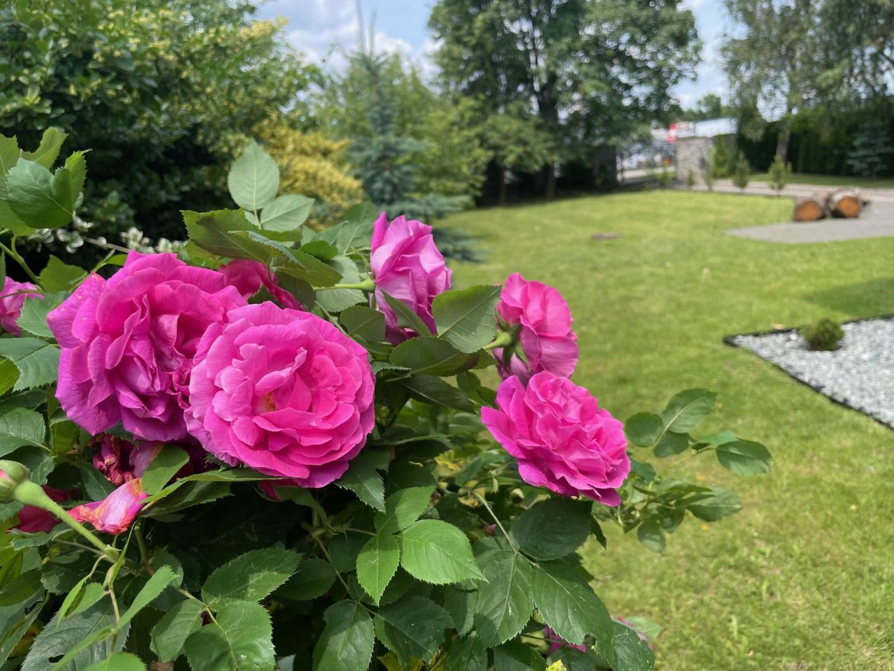 dom wolnostojący Trzebownisko. Zdjęcie 4