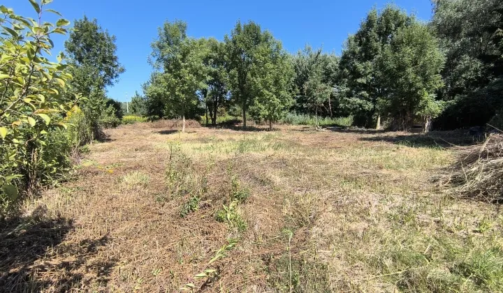 Działka budowlana Mrozów, ul. Piastowska
