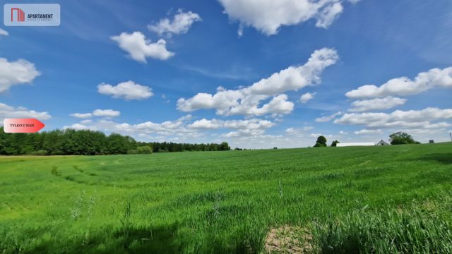 Działka inwestycyjna Kęsowo. Zdjęcie 7