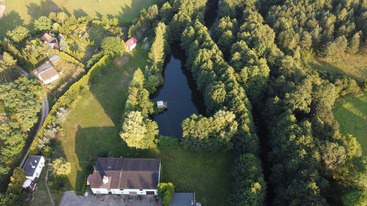 Nieruchomość komercyjna Czapla. Zdjęcie 2