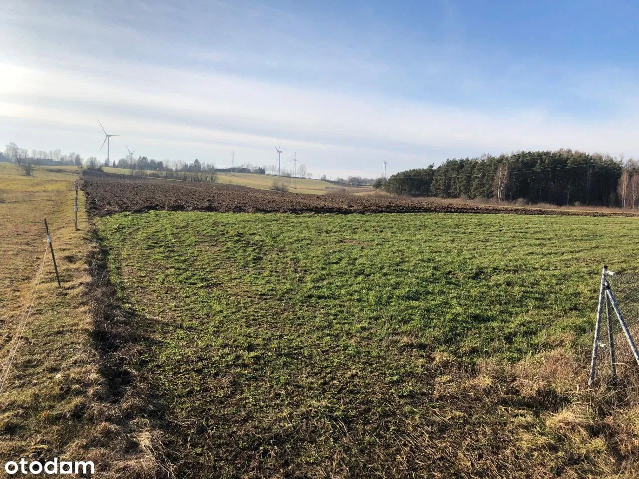 Działka rolno-budowlana Turówka Nowa. Zdjęcie 2