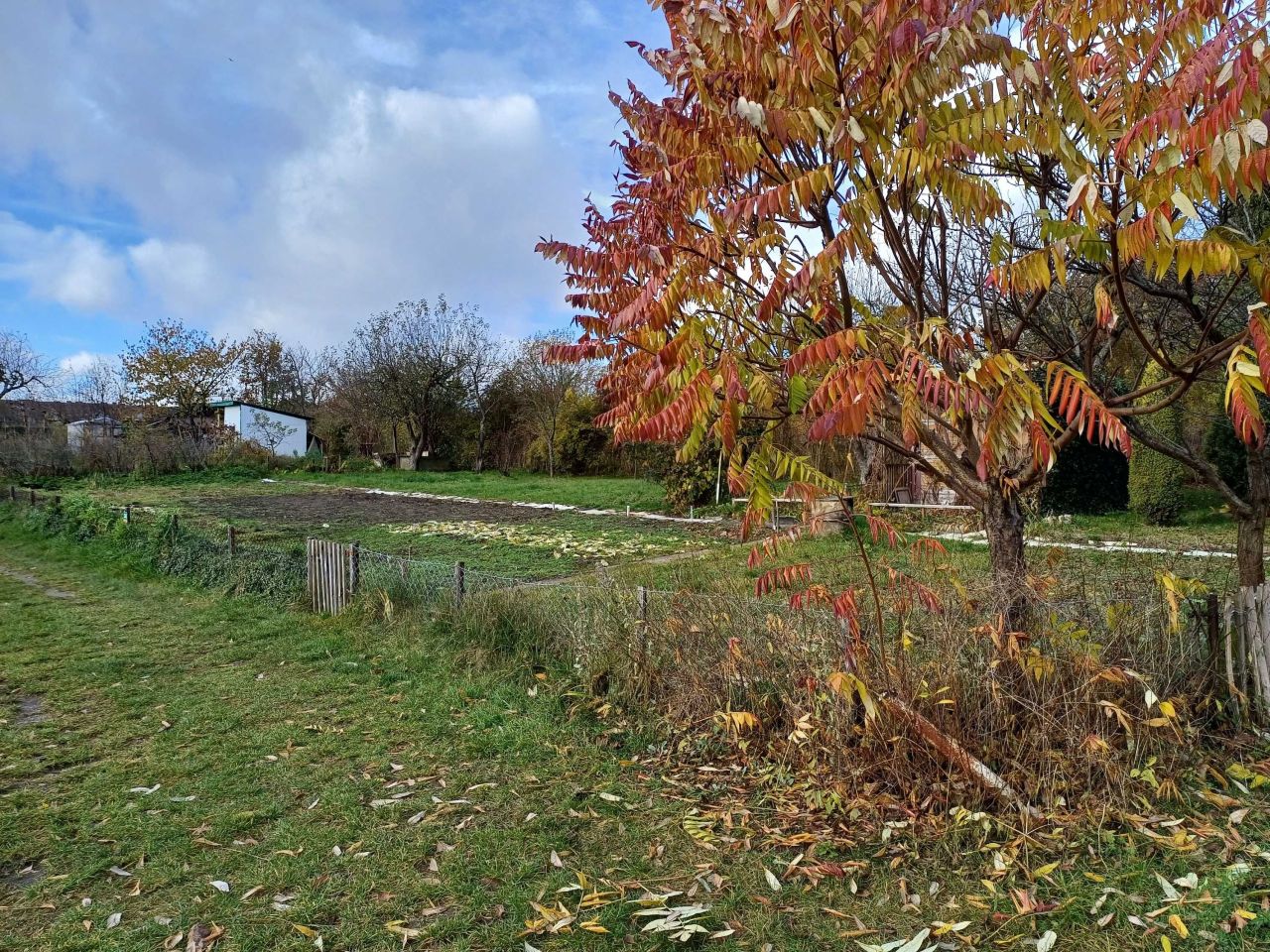 Działka rod Szczytno, ul. Lemańska. Zdjęcie 6