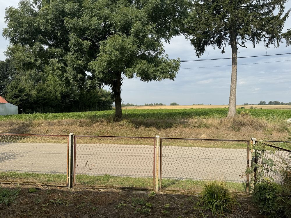 siedlisko Mołodiatycze. Zdjęcie 6