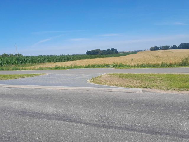Działka rolno-budowlana Ostrowite. Zdjęcie 1