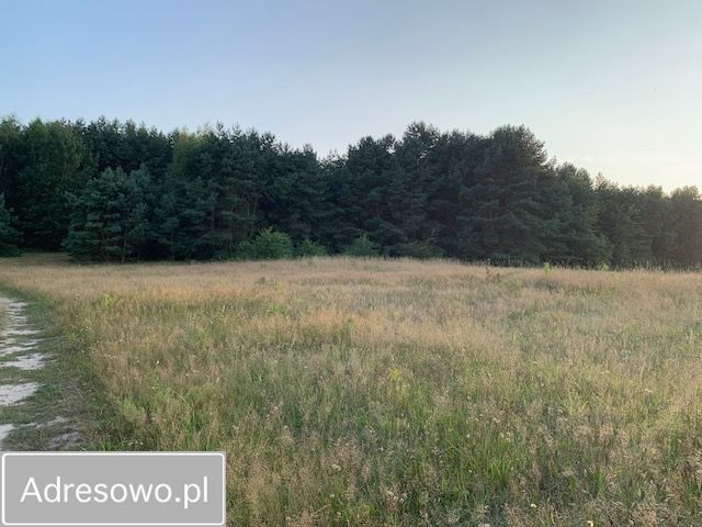 Działka rolna Rzystnowo. Zdjęcie 8