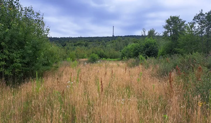 Działka siedliskowa Hucisko
