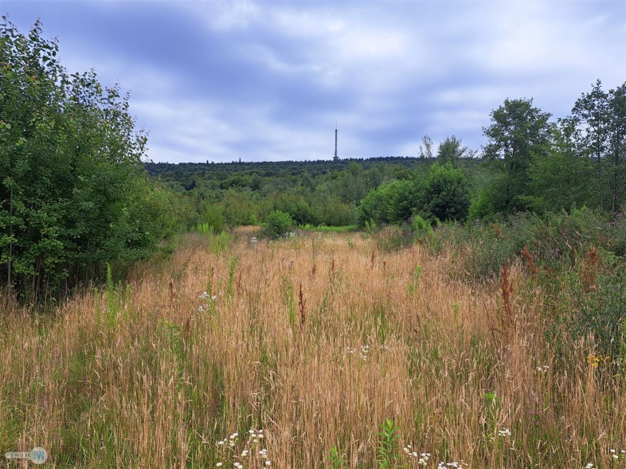 Działka siedliskowa Hucisko. Zdjęcie 1
