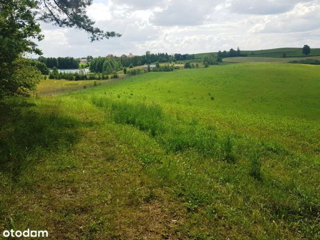 Działka rolno-budowlana Daniłowce. Zdjęcie 1