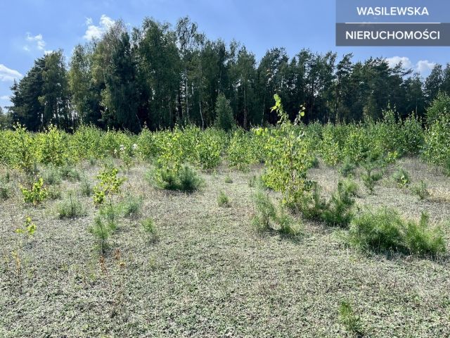 Działka budowlana Rząśnik Szlachecki. Zdjęcie 10