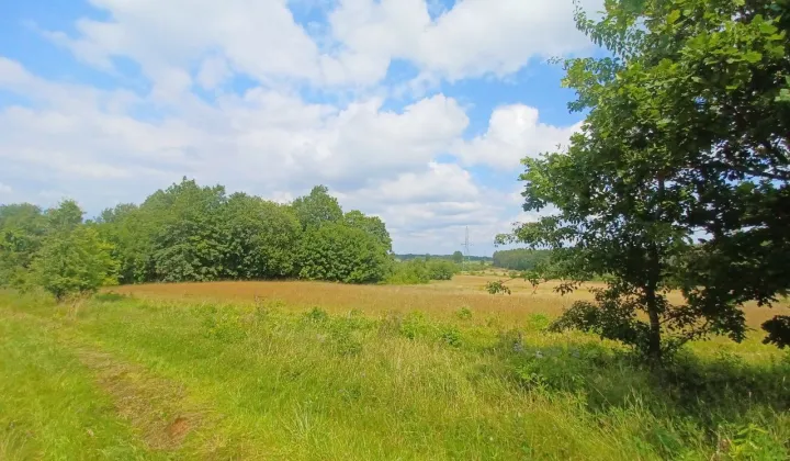 Działka budowlana Kołtki