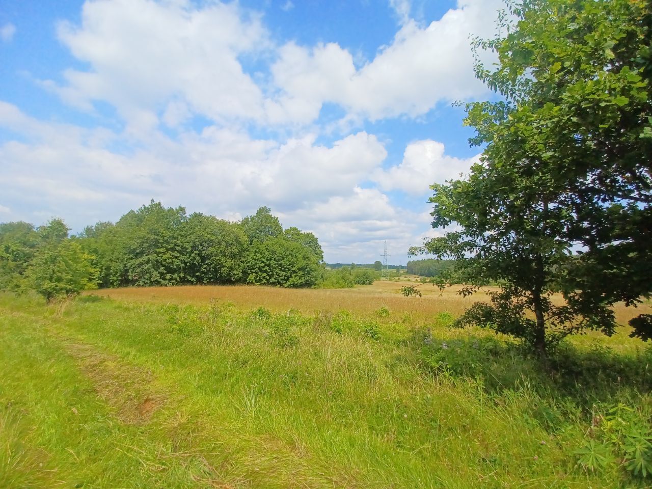 Działka budowlana Kołtki. Zdjęcie 1