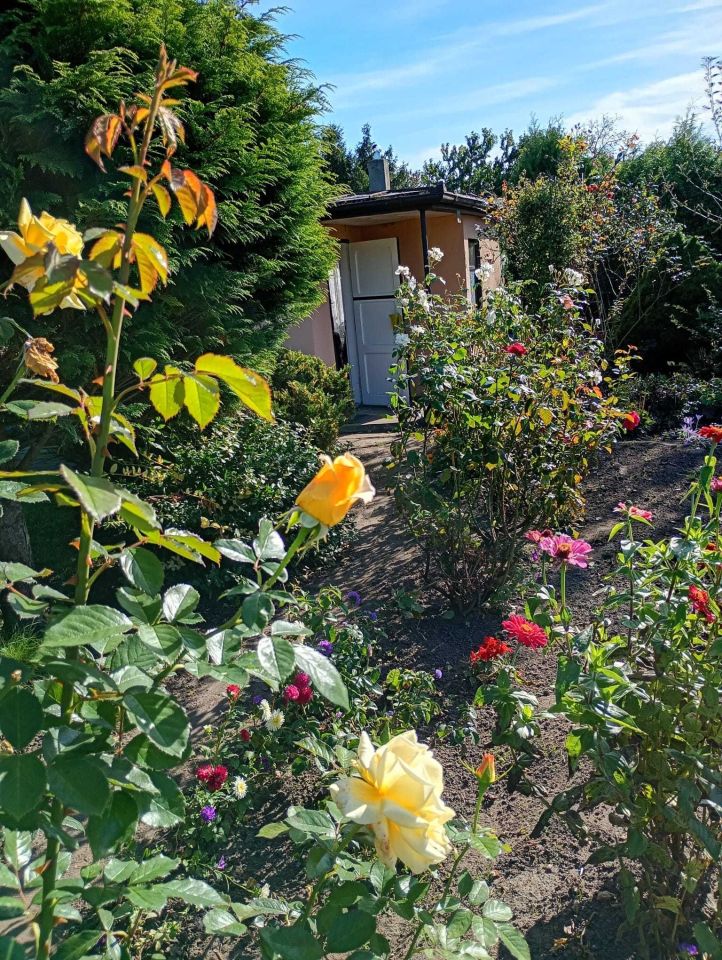 Działka rod Żnin. Zdjęcie 4