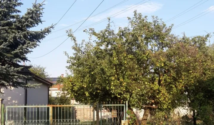 Działka budowlana Zielonka, ul. Ignacego Paderewskiego