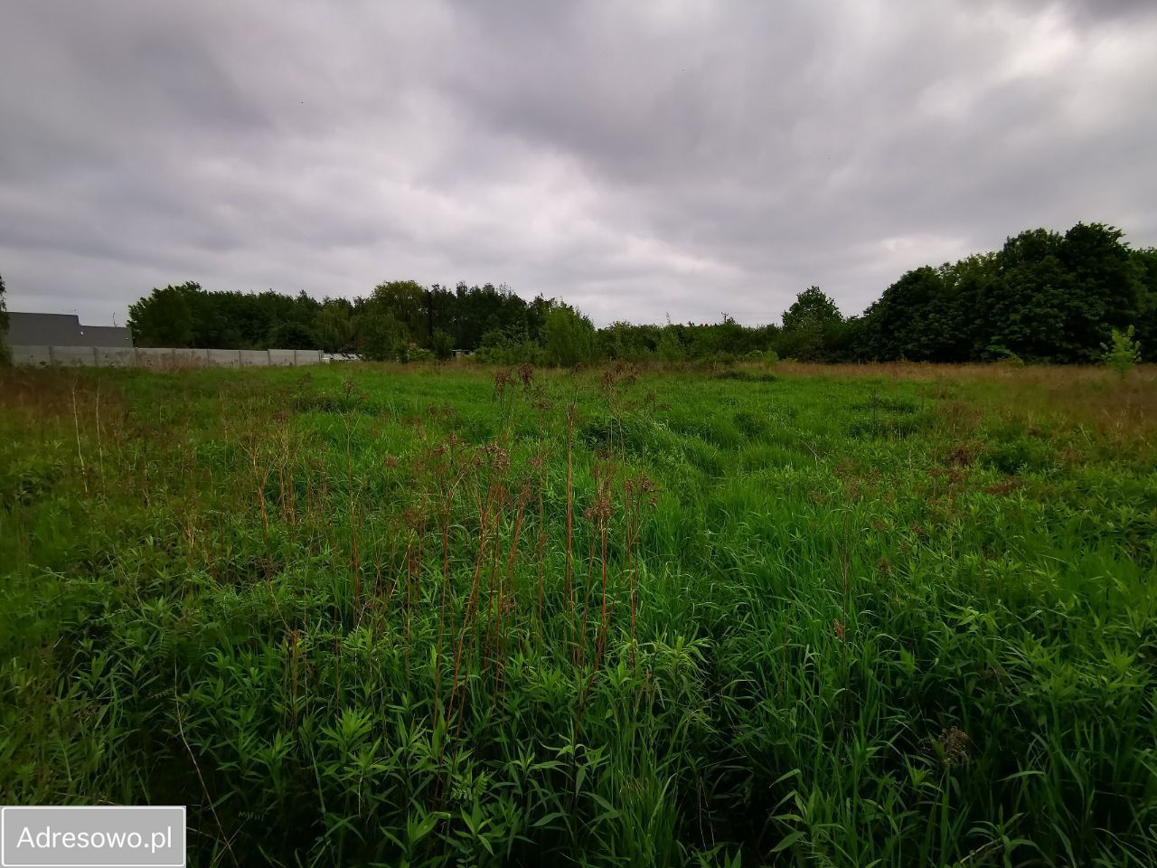 Działka inwestycyjna Wrocław Psie Pole, ul. Polanowicka. Zdjęcie 10