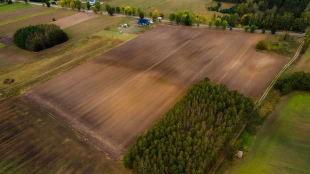 Działka budowlana Niestoja. Zdjęcie 1