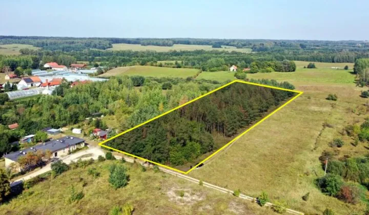 Działka budowlana Ogonki