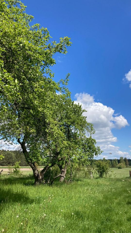 siedlisko, 5 pokoi Libiszów. Zdjęcie 8