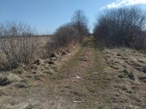 Działka rolna Mieroszyno, ul. Starowiejska. Zdjęcie 2