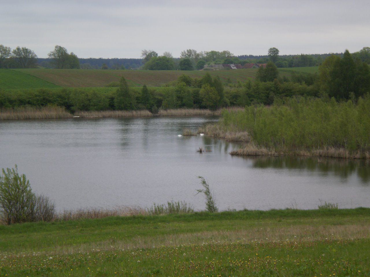 Działka rolna Grom. Zdjęcie 4