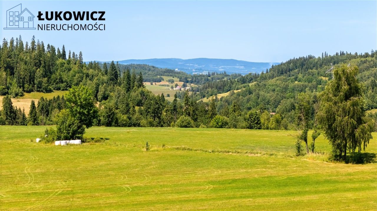 Działka leśna Pieniążkowice. Zdjęcie 5