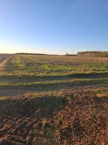 Działka rolna Sadkowice. Zdjęcie 1