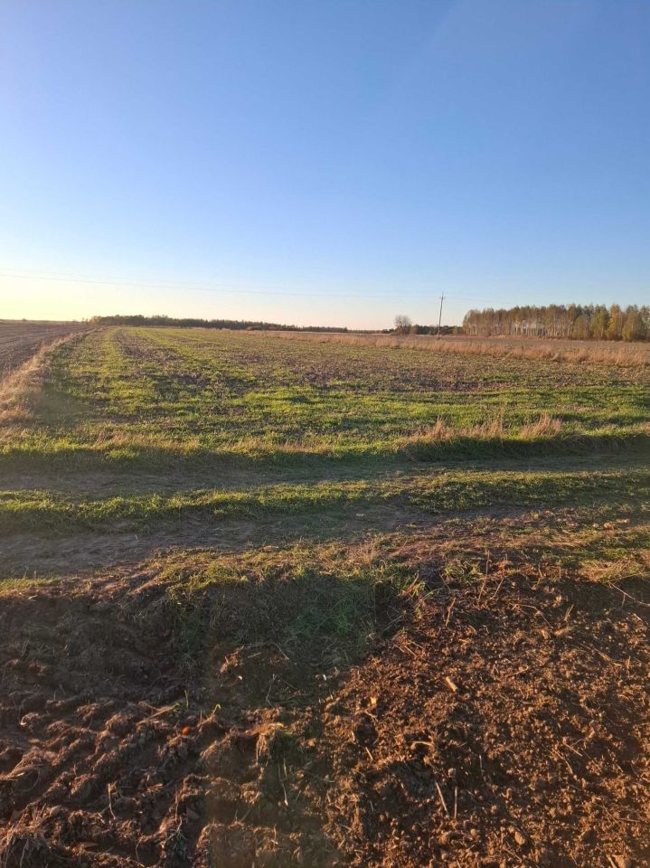 Działka rolna Sadkowice