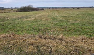 Działka rolna Wroczyńszczyzna