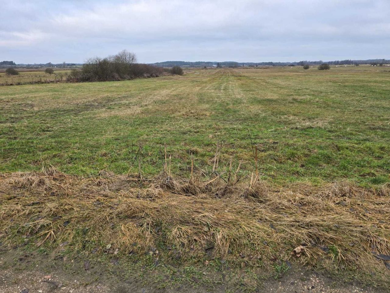 Działka rolna Wroczyńszczyzna