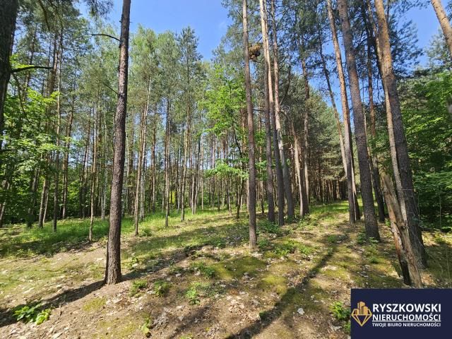 Działka budowlana Trzepieciny. Zdjęcie 4