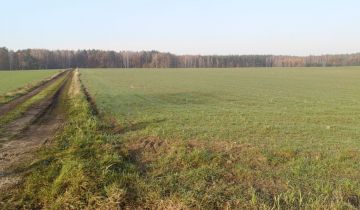 Działka budowlana Nekla