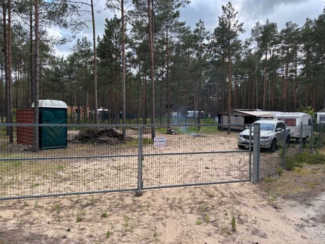 Działka leśna Borsk. Zdjęcie 1