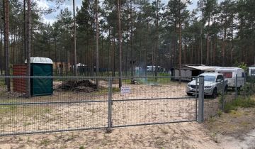 Działka leśna Borsk