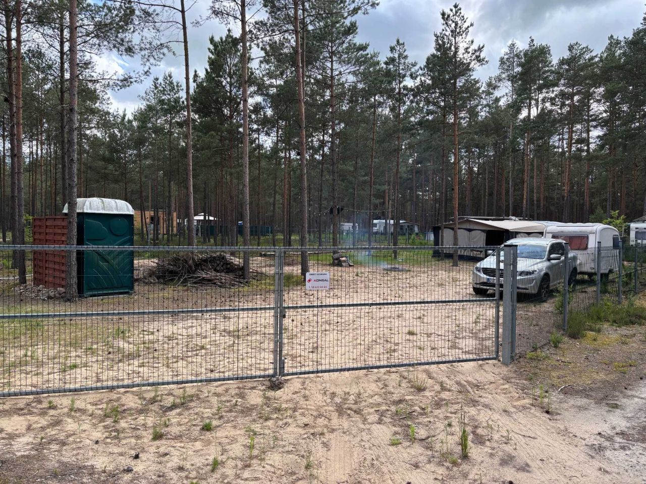 Działka leśna Borsk