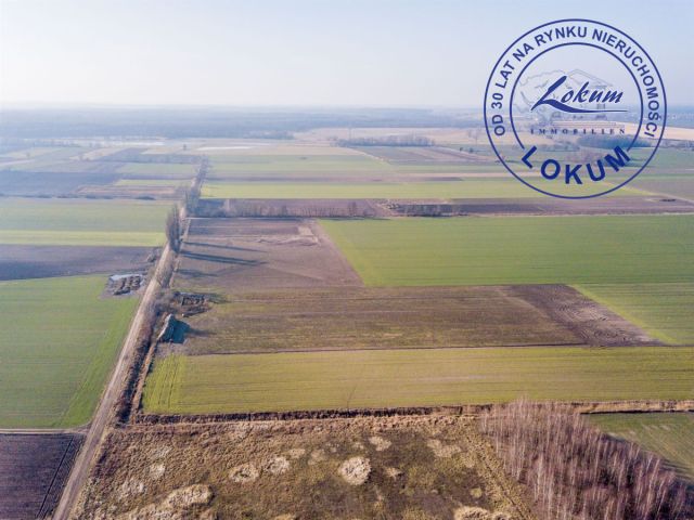 Działka siedliskowa Przybyszewo. Zdjęcie 4