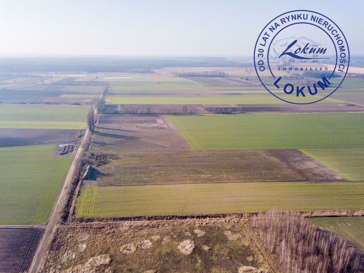 Działka siedliskowa Przybyszewo. Zdjęcie 4