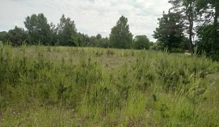 Działka budowlana Piława