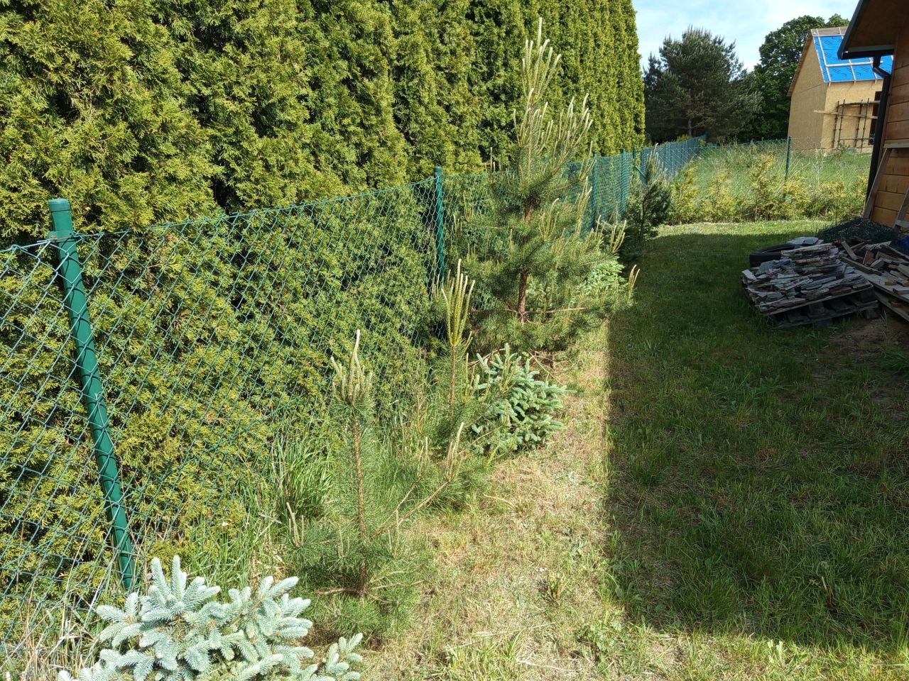 Działka budowlana Sikorzyno, ul. Spokojna. Zdjęcie 11