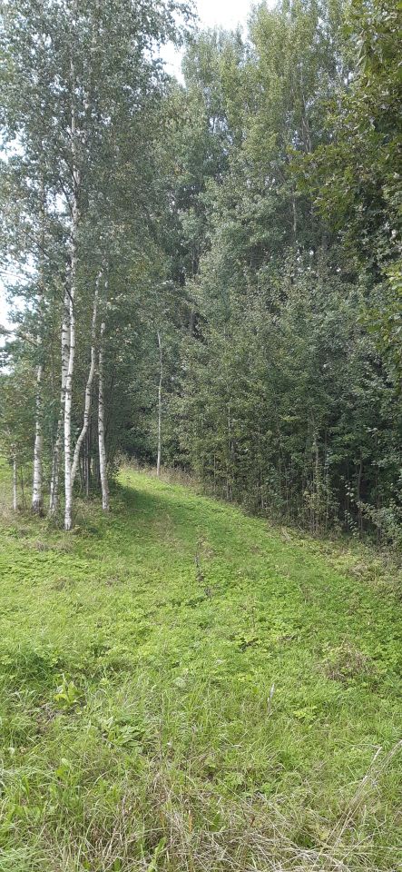 Działka rekreacyjna Boćwinka. Zdjęcie 8