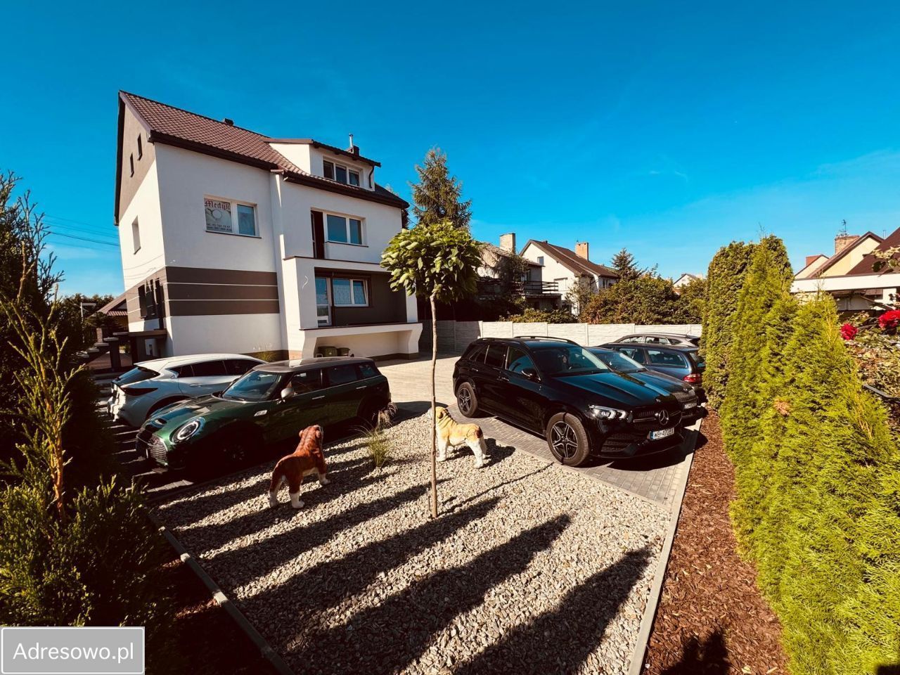 Lokal Choszczno. Zdjęcie 2