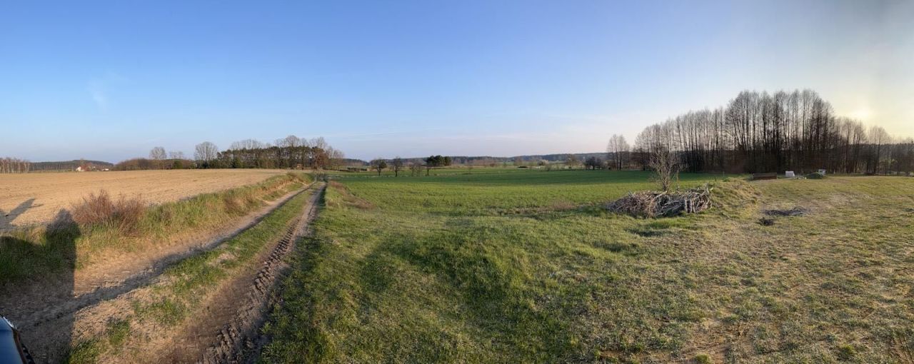 Działka rolno-budowlana Pszczew. Zdjęcie 4