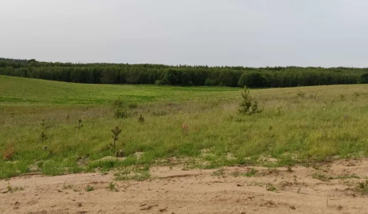 Działka rolno-budowlana Ostrowite