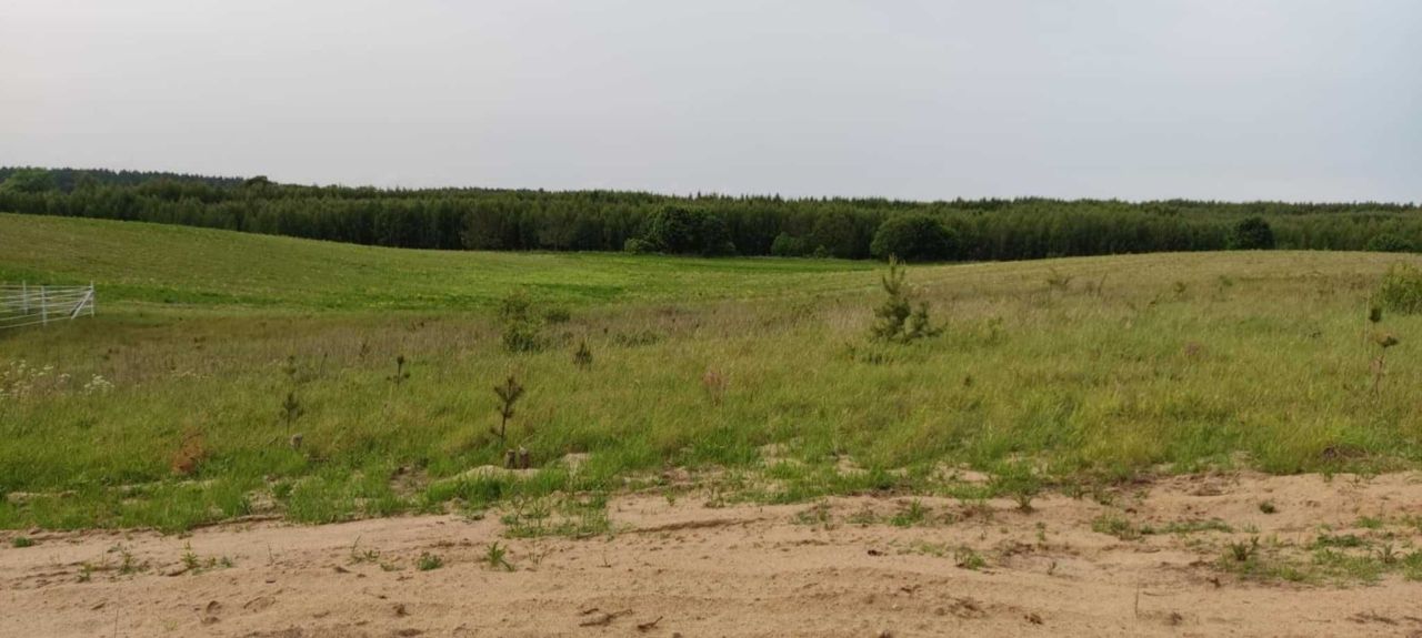 Działka rolno-budowlana Ostrowite