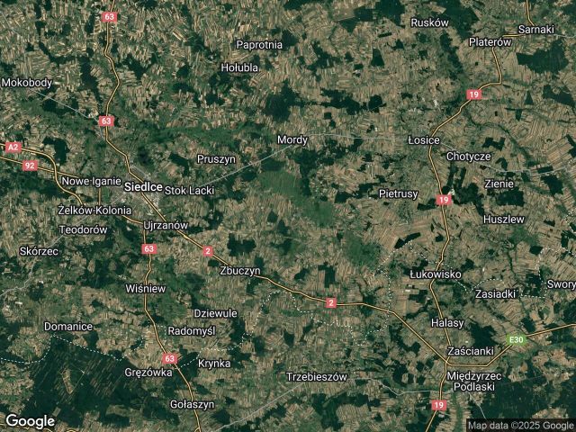 Działka leśna Radzików-Kornica. Zdjęcie 1