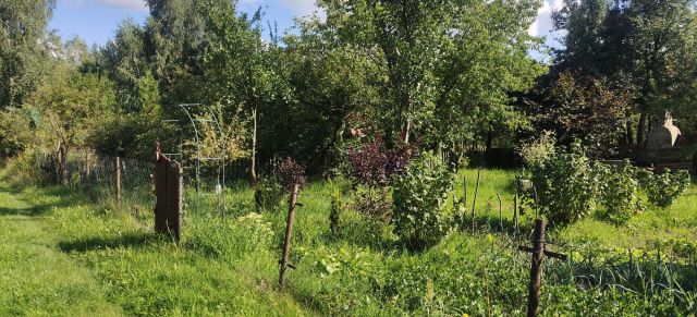 Działka rod Kielce. Zdjęcie 1