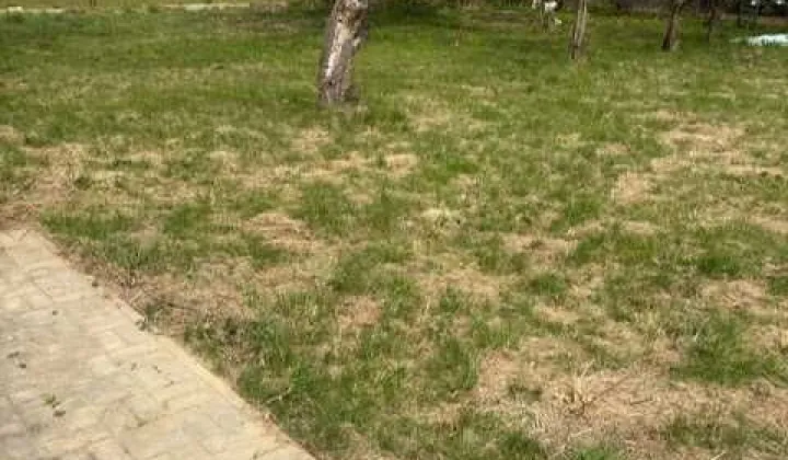 Działka rod Ostrów Wielkopolski, ul. Wrocławska