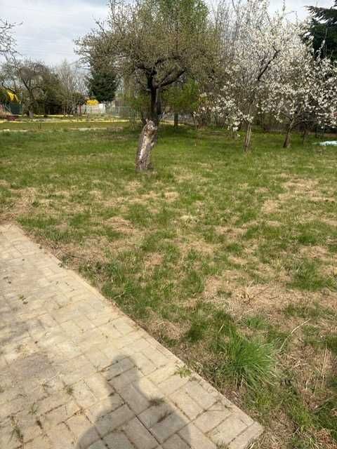 Działka rod Ostrów Wielkopolski, ul. Wrocławska. Zdjęcie 1