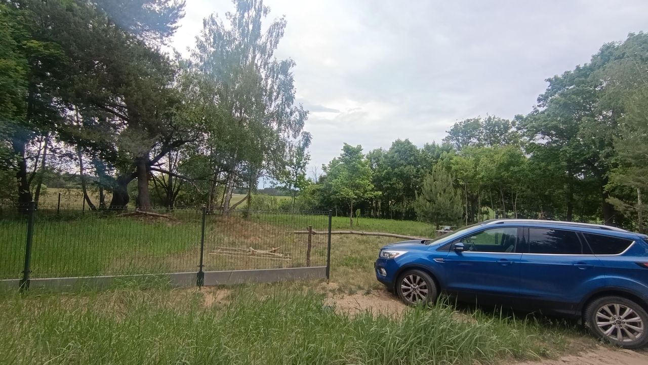 Działka siedliskowa Krynickie. Zdjęcie 3