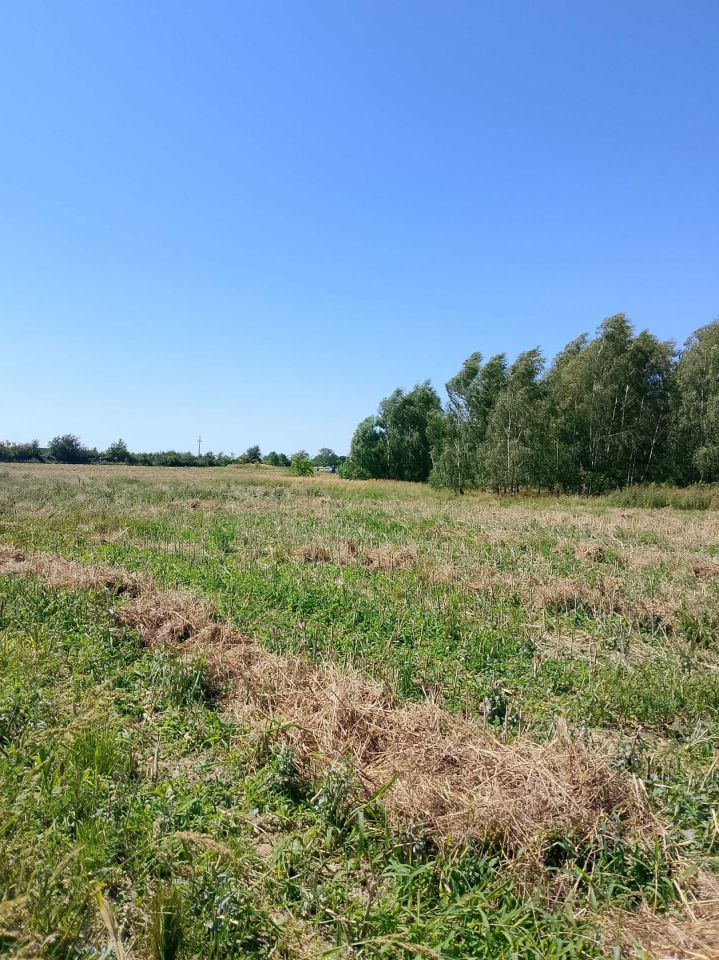 Działka budowlana Lipno. Zdjęcie 4