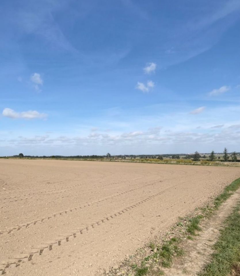 Działka budowlana Paszowice. Zdjęcie 6